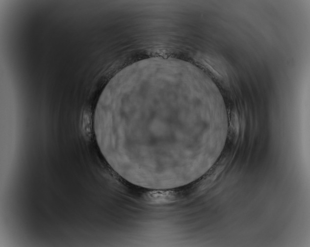 X0000092270526200710121342