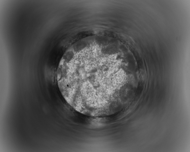 X0000092270527200710121342