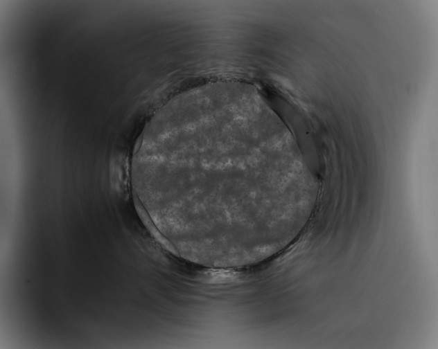 X0000092270528200710121342