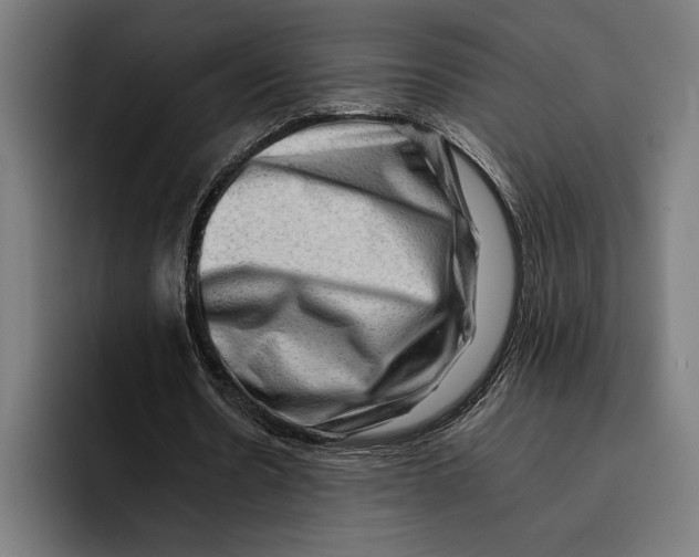 X0000092270530200710121342