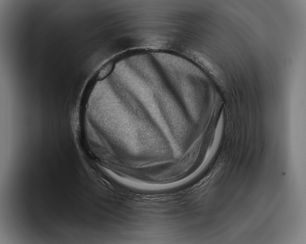 X0000092270532200710121342