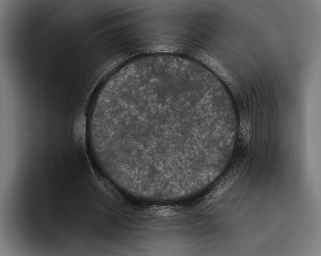 X0000092270534200710121342