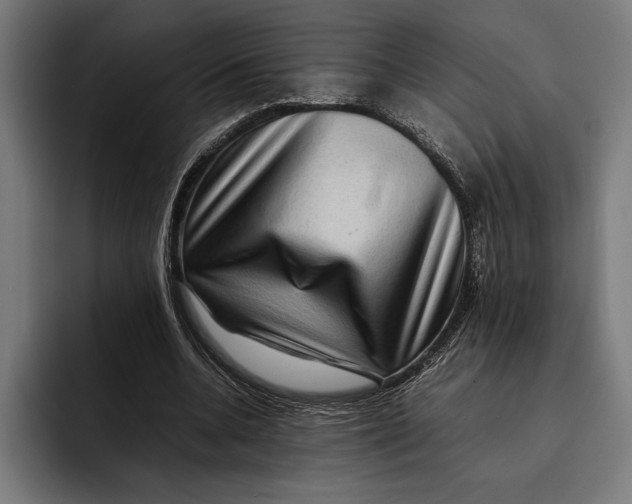 X0000092270536200710121342