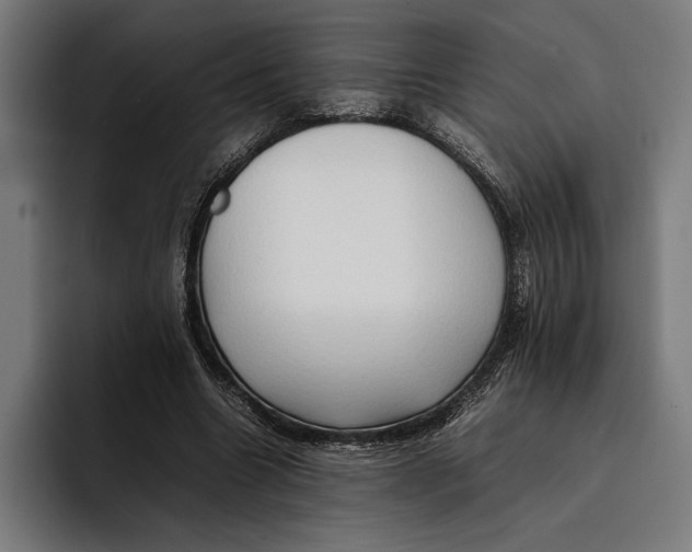 X0000092270538200710121342