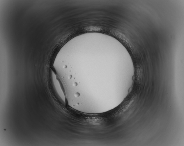 X0000092270541200710121342