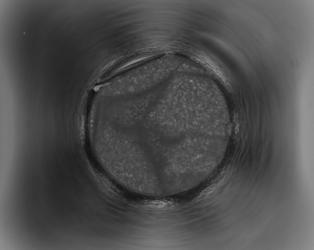 X0000092270542200710121342