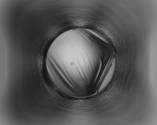 X0000092270544200710121342
