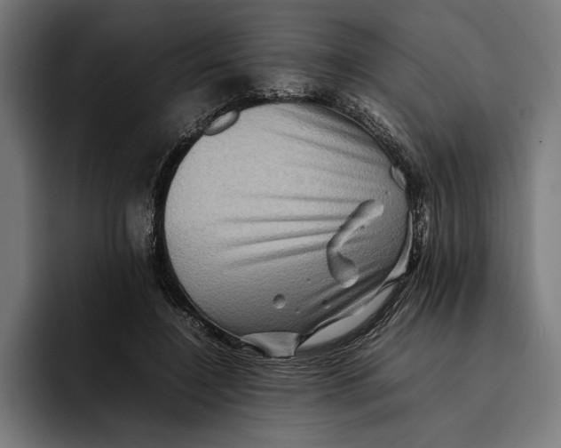X0000092270548200710121342