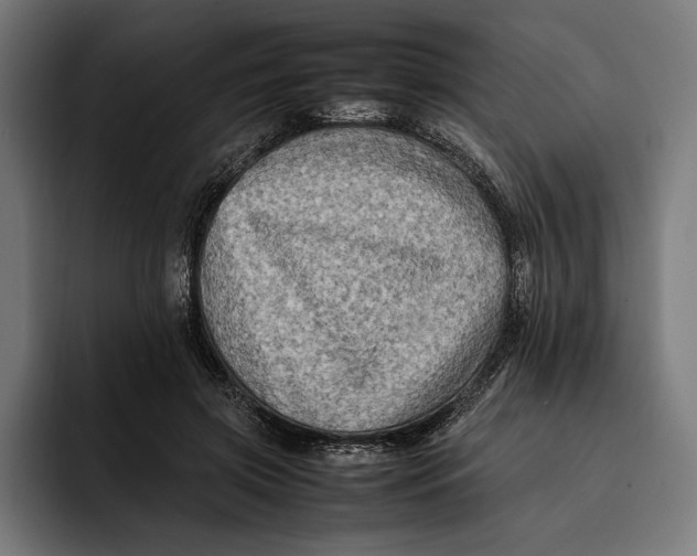 X0000092270549200710121342