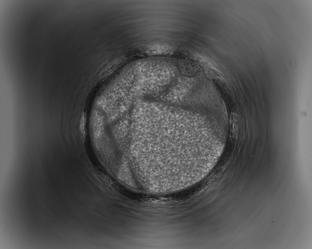 X0000092270550200710121342