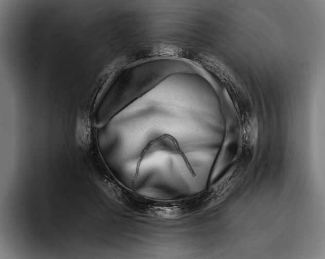 X0000092270552200710121342