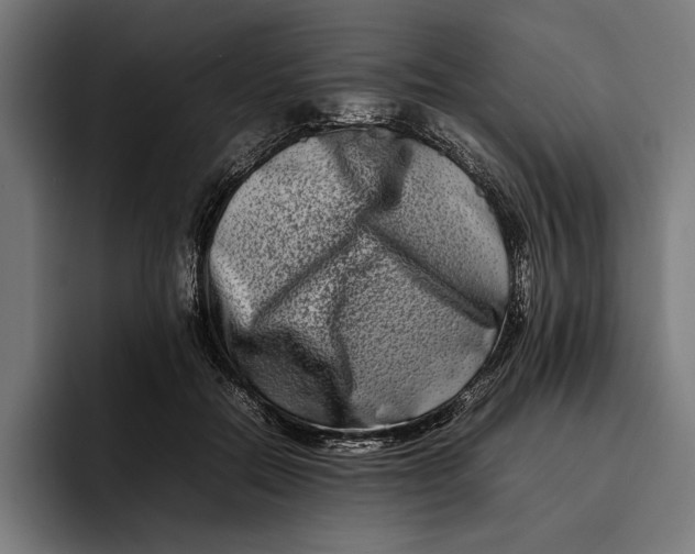 X0000092270554200710121342