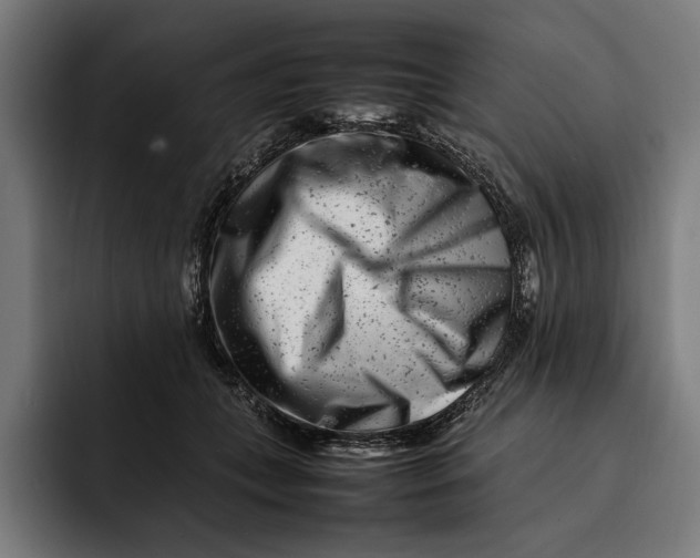 X0000092270559200710121342