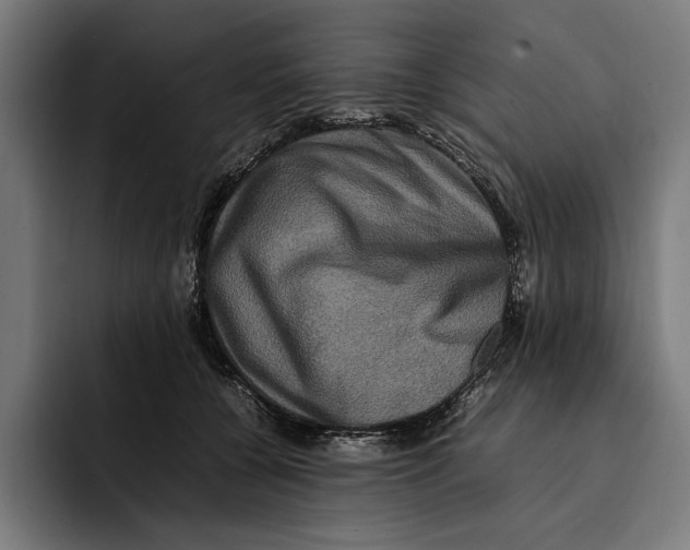 X0000092270560200710121342