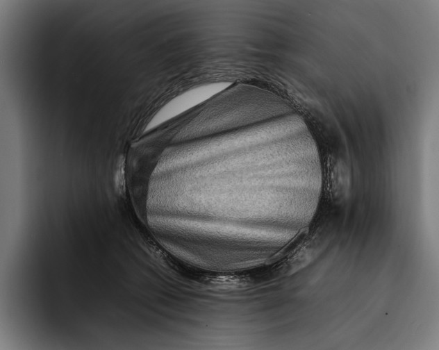 X0000092270562200710121342