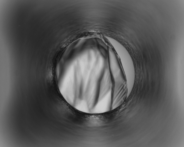 X0000092270566200710121342
