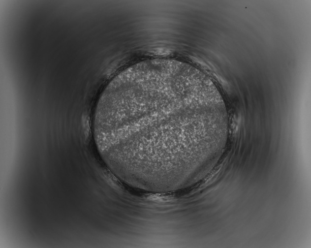 X0000092270568200710121342