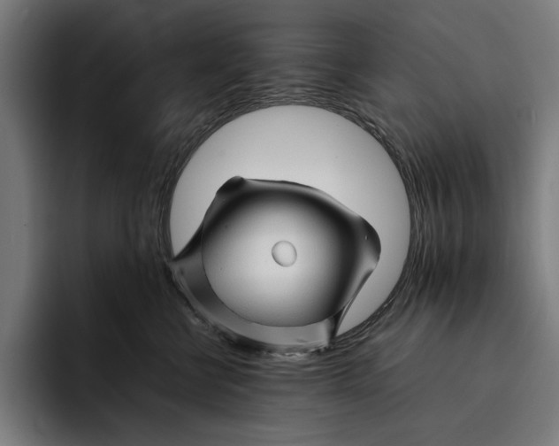 X0000092270570200710121342