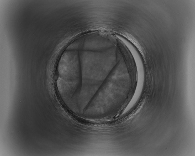 X0000092270577200710121342