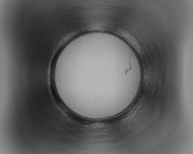 X0000092270578200710121342