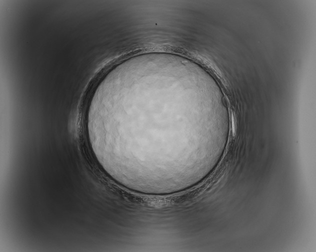 X0000092270579200710121342