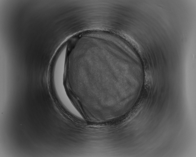 X0000092270580200710121342