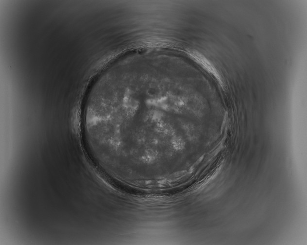 X0000092270581200710121342