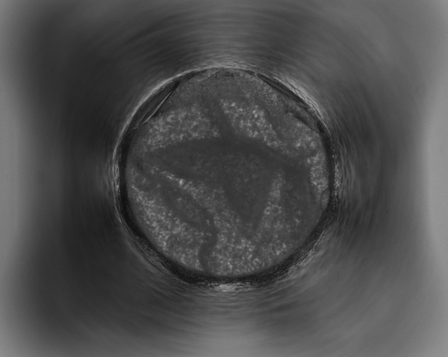 X0000092270584200710121342