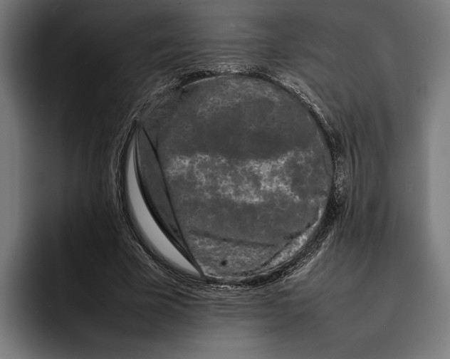 X0000092270585200710121342