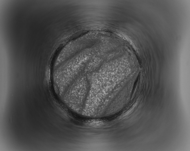 X0000092270589200710121342