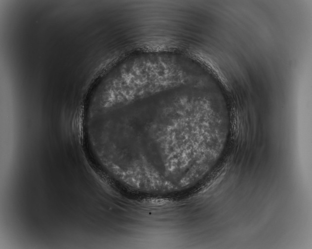 X0000092270590200710121342