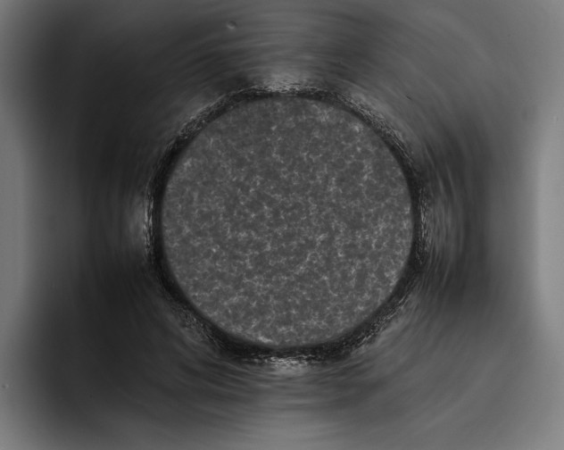 X0000092270592200710121342