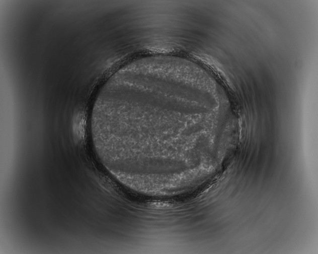 X0000092270596200710121342