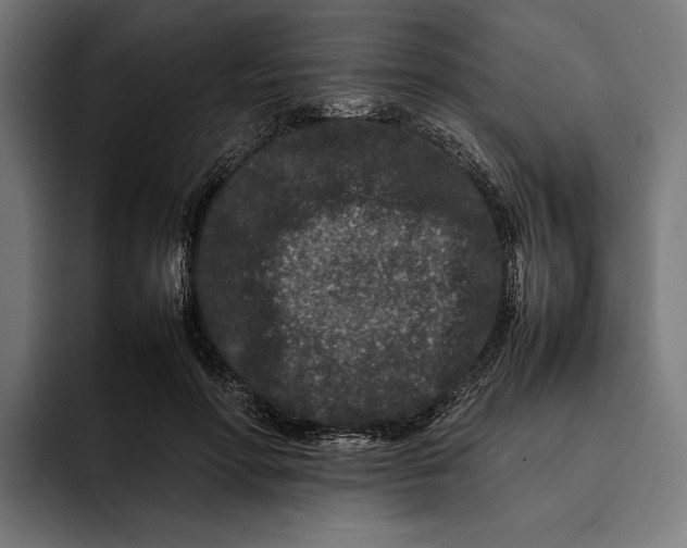 X0000092270598200710121342