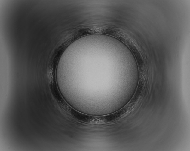 X0000092270599200710121342