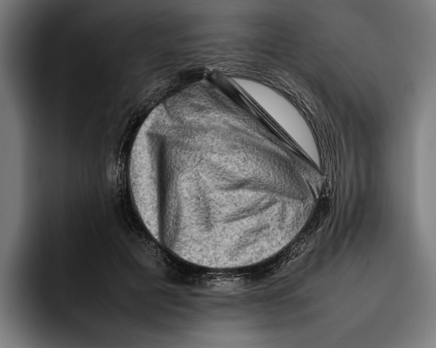 X0000092270601200710121341
