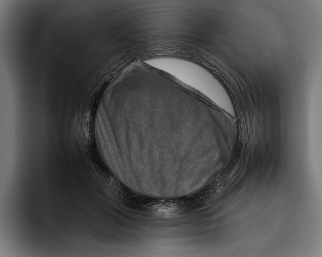 X0000092270604200710121341