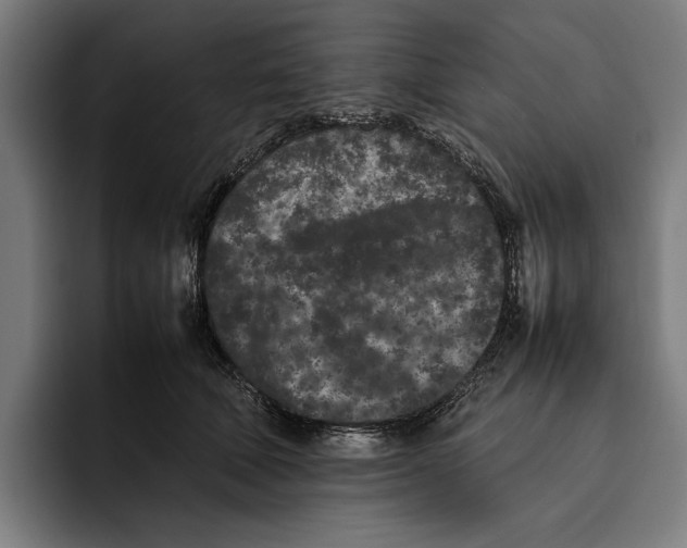 X0000092270610200710121341