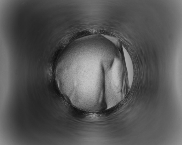 X0000092270611200710121341