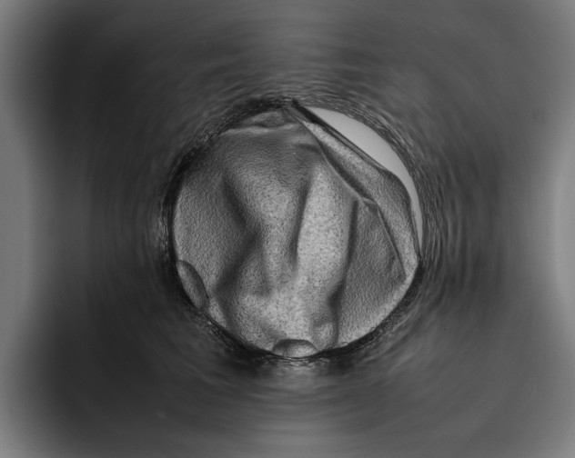 X0000092270613200710121341