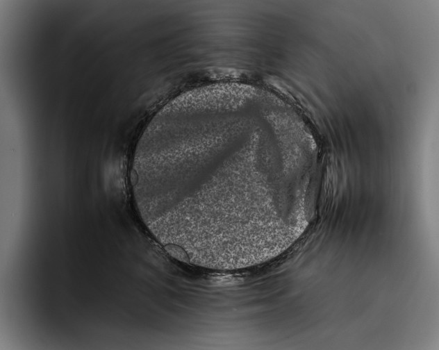 X0000092270616200710121341