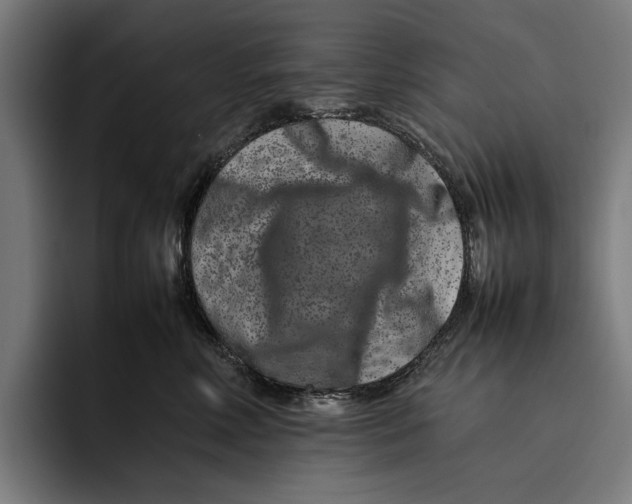 X0000092270618200710121341