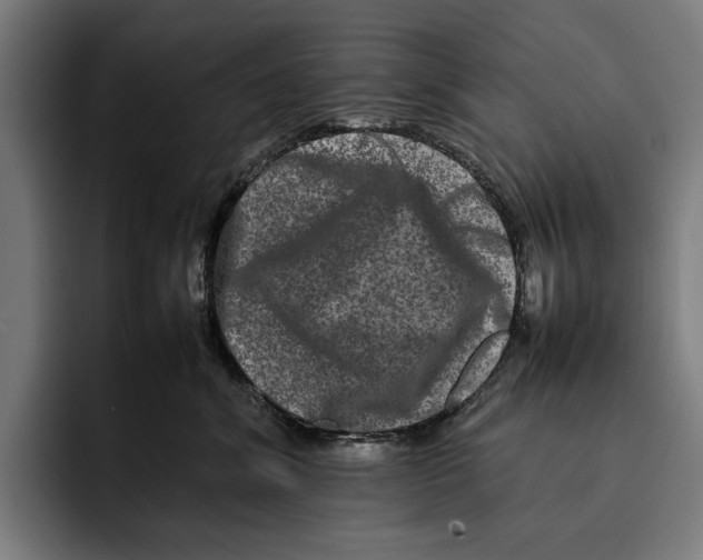 X0000092270620200710121341