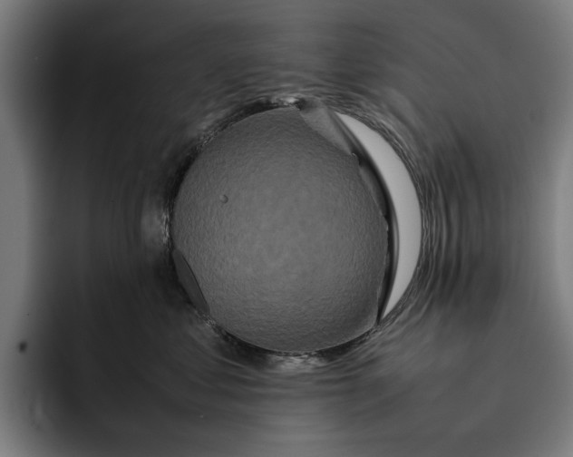 X0000092270621200710121341