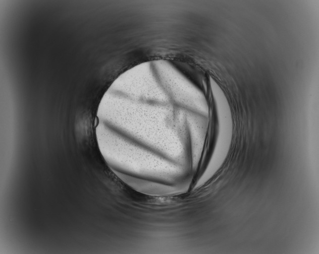 X0000092270623200710121341