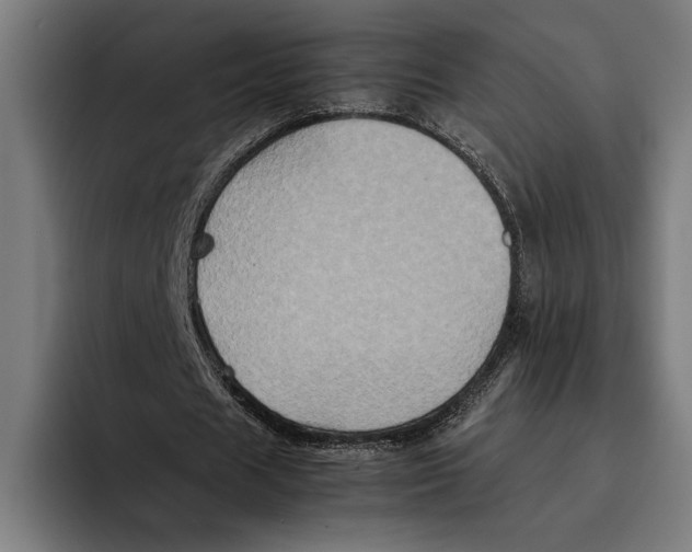 X0000092270625200710121341