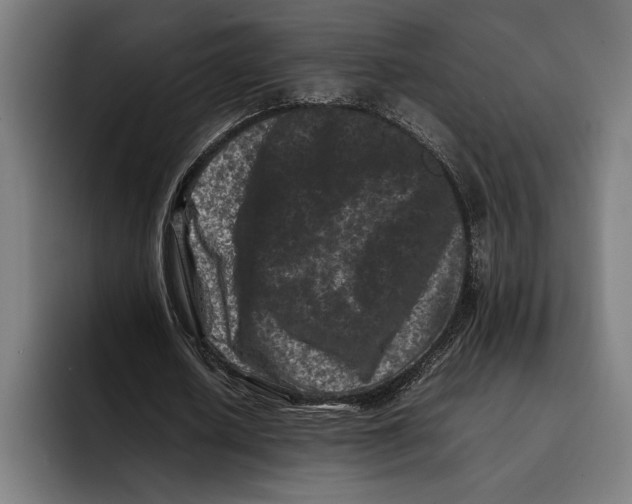 X0000092270626200710121341