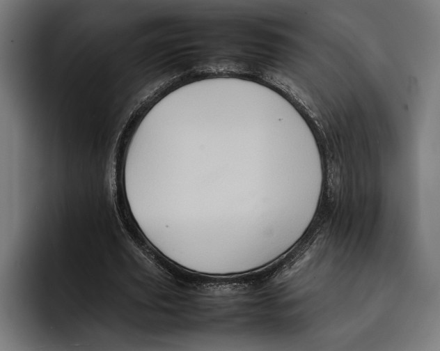 X0000092270629200710121341