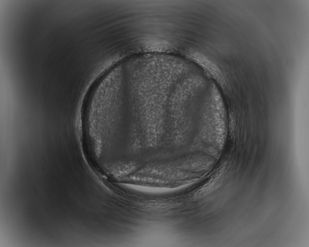 X0000092270630200710121341