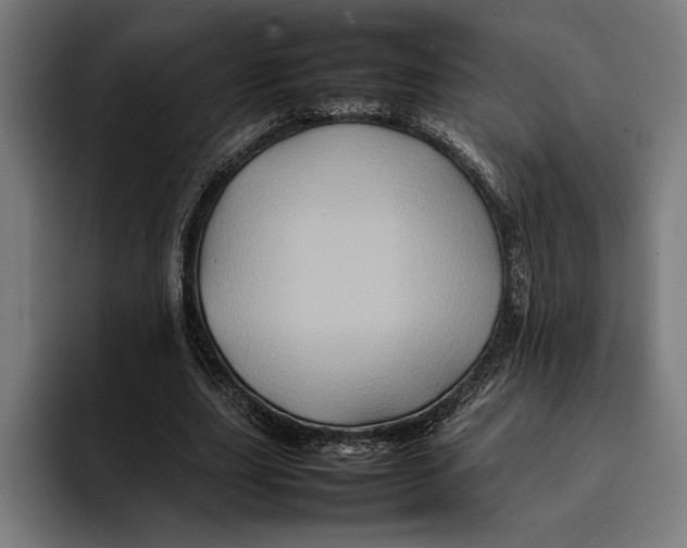 X0000092270631200710121341